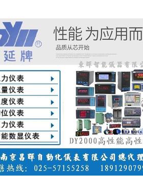 DY21Z0 DY22Z2 DY26Z0 DY21Z2 DY2000 DY29Z7东辉仪表大延牌仪表