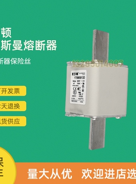全新快速熔断器保险170M5816D 170M5817D 170M5820D 170M5847