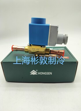 HONGSEN鸿森电磁阀 EVR10-5 HVD25-9T 32-11T 40-13T 40-17T HM5