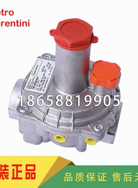 Pietro Fiorentini菲奥30161 30162 30163 30164 30165燃气调压阀