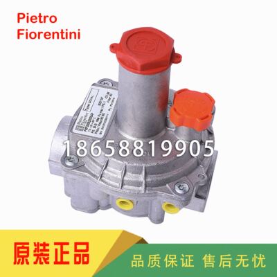 Pietro Fiorentini菲奥30161 30162 30163 30164 30165燃气调压阀