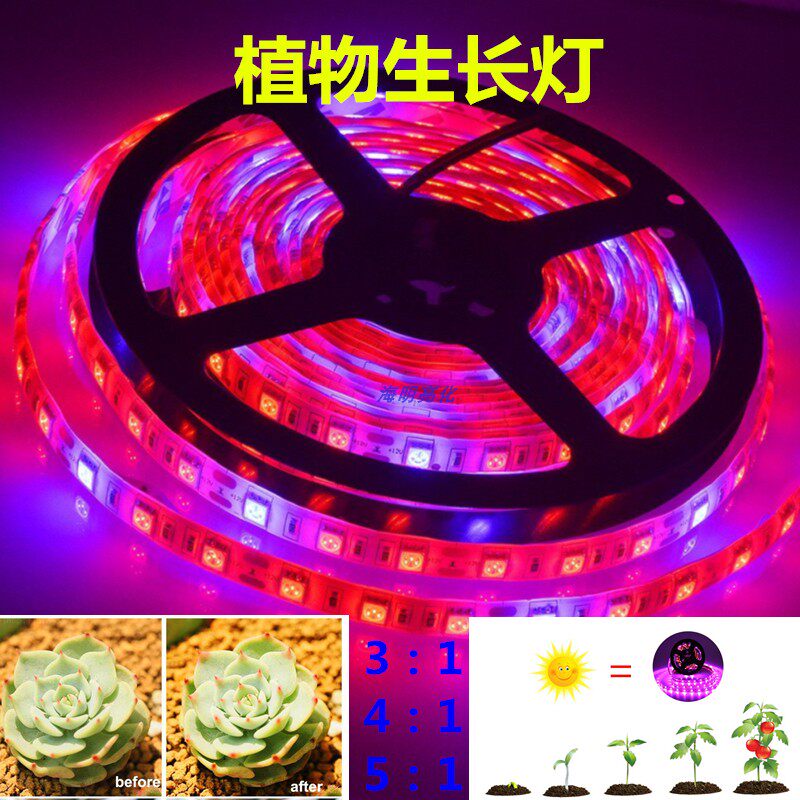 全光谱植物补光LED灯条5050植物生长灯带大鹏多肉蔬菜肉类花卉灯