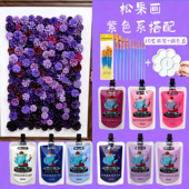 DIY紫色系松果画颜料套装 防水防晒 自立袋手绘涂鸦彩绘DIY石头球鞋 手工材料包120ML袋装 丙烯颜料袋装