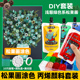 DIY套装 马卡龙色松果画丙烯颜料儿童手工绘画材料包全套画鞋 子衣服彩绘儿童画手工画DIY墙绘石头画丙烯颜料