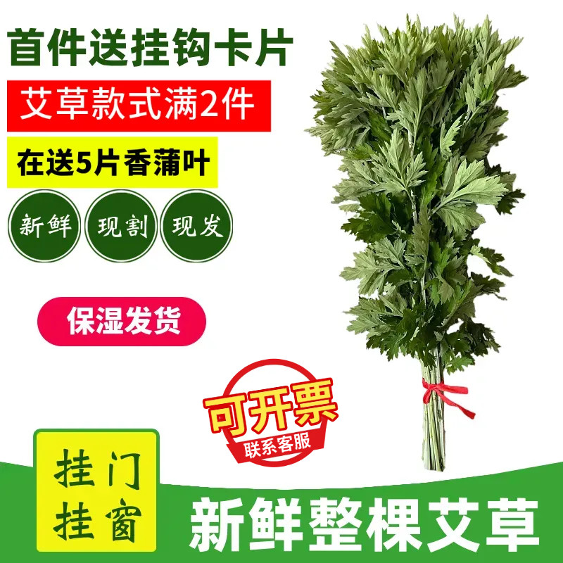 2026年新鲜整枝艾草大叶端午节挂门窗整颗带叶带杆不带根艾蒿礼品