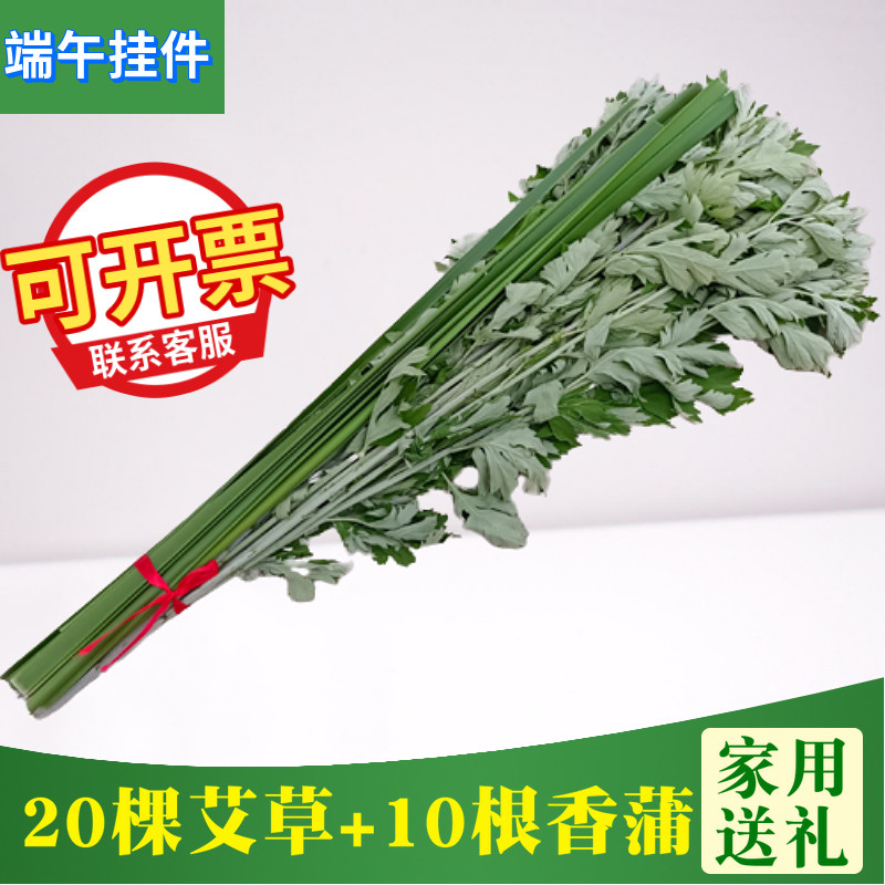 端午节挂门新鲜艾草香蒲菖蒲挂件整颗鲜艾草野生艾叶艾蒿窗户挂饰