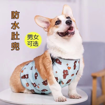 狗狗防水肚兜衣服狗狗防水雨衣雨披保暖柯基专用防脏夏季防着凉