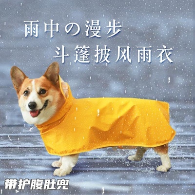 犬柯基柴犬泰迪全包雨披用品护腹