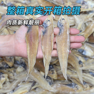 北海龙利鱼干500g散装风干咸鱼干鱼片北部湾小鱼干货海鲜非巴沙鱼