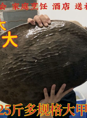 甲鱼珍珠鳖老鳖鲜活鳖