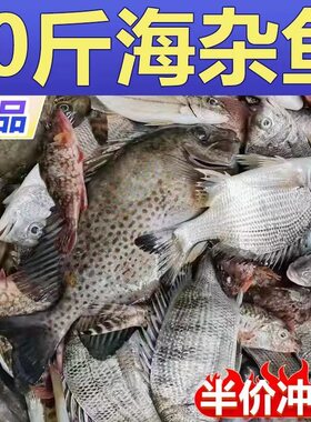 海杂鱼深海鱼海鲜水产小黄鱼鲳鱼