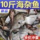 现捕现发 海杂鱼批发新鲜深海鱼大杂烩海鲜水产小黄鱼鲳鱼批发