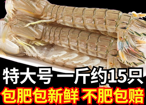 皮皮虾鲜活超大特大虾婆冷冻