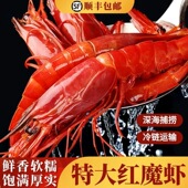 红魔虾特大新鲜深海大虾特大号刺身虾冷冻生腌超大虾顺丰冷链鳌虾