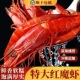 红魔虾特大新鲜深海大虾特大号刺身虾冷冻生腌超大虾顺丰冷链鳌虾