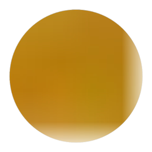 海茸丝干货500g新鲜海笋海松茸海茸海龙筋凉拌菜海藻菜干货非即食