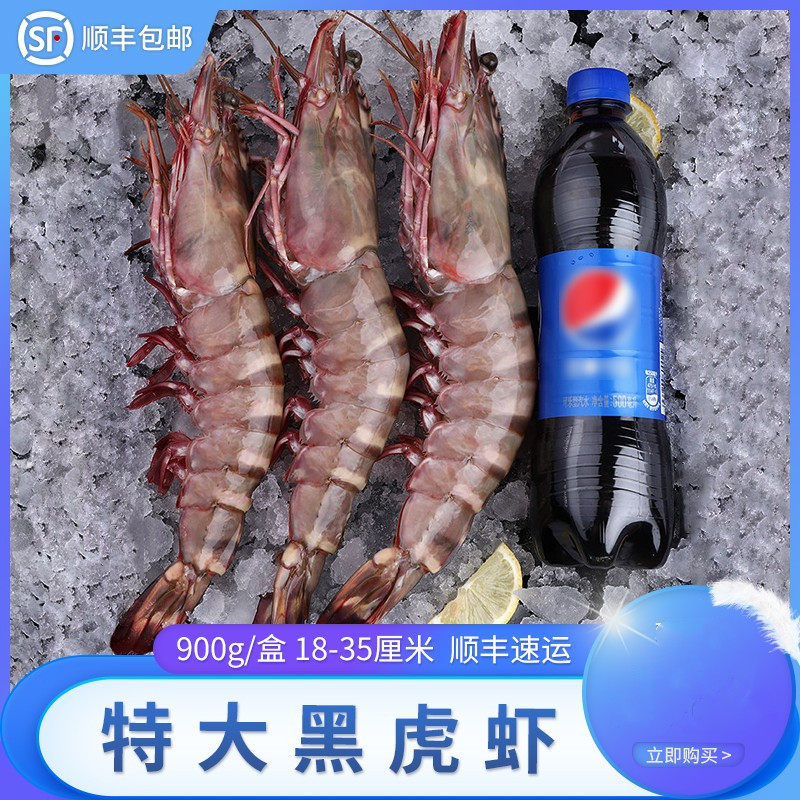特大黑虎虾30-35cm越南黑虎虾老虎虾急冻基围虾速冻海鲜
