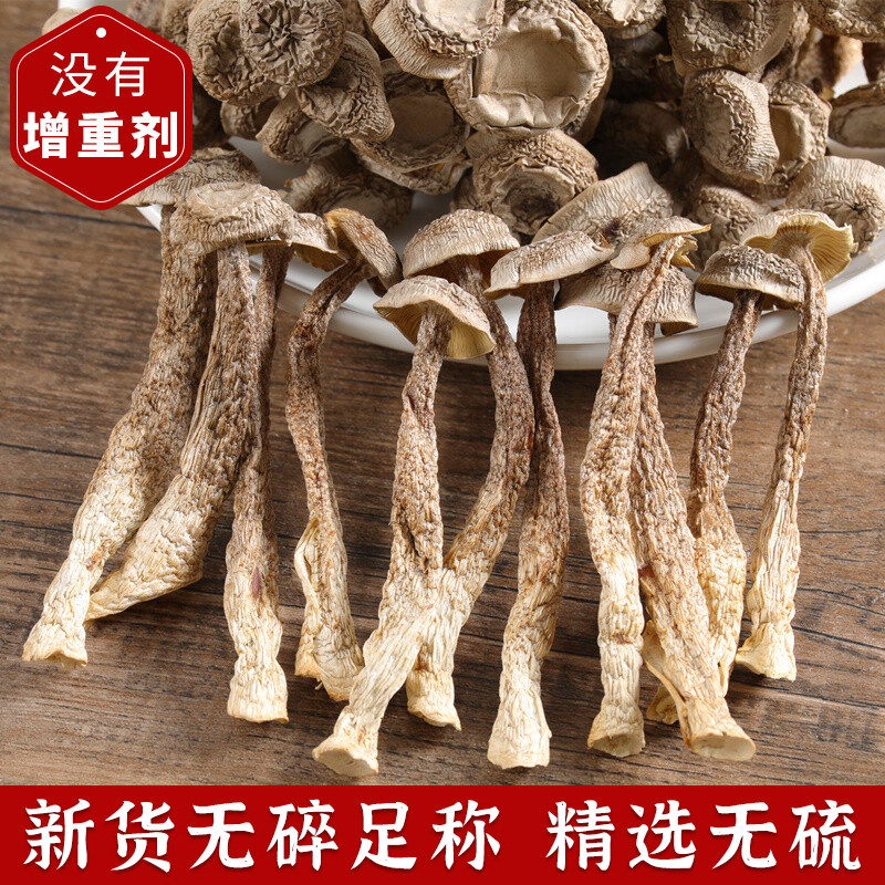 鹿茸菇干货特级50g新一菌脆鲜