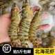 北海斑节虾九节虾大虾海虾速冻基围虾竹节虾黑虎虾顺丰 包邮