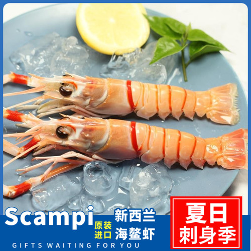 新西兰进口海鳌虾深海斯干比