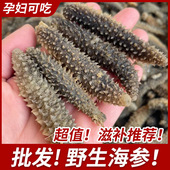 野生淡干海参 黑刺参新鲜海参干货非大连辽刺参足干无添加深海参