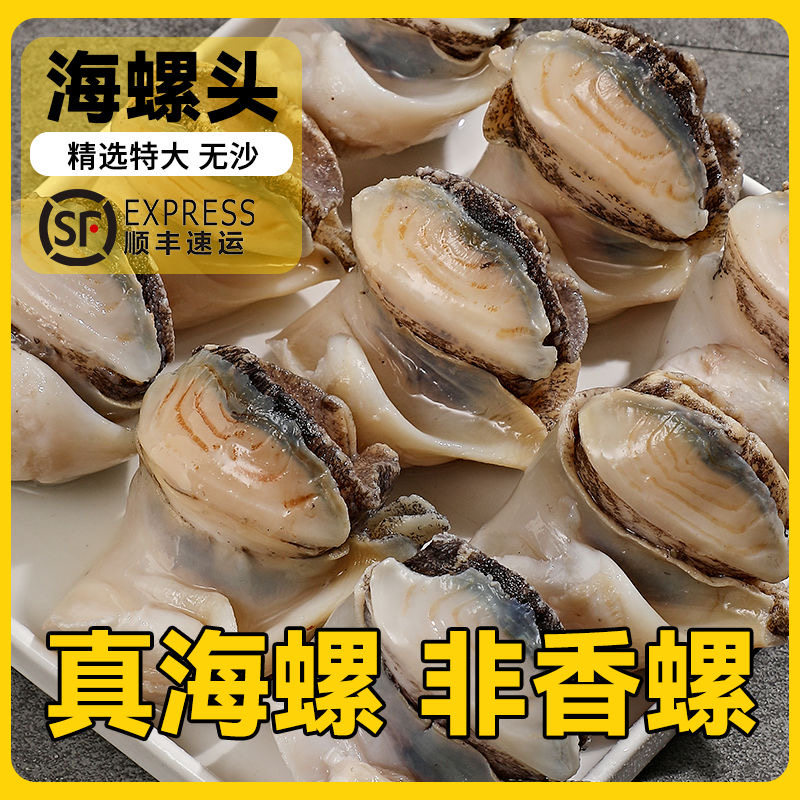 顺丰海螺头海螺肉冷冻海螺丹东大个海螺鲜活熟冻特大号即食非香螺
