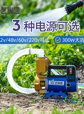 浇菜神器农用浇地灌溉抽水机12V48V220V大功率家用自动浇水机水泵