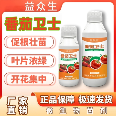 益众生番茄卫士番茄种植促根壮苗叶片浓绿促进开花结果微生物肥正