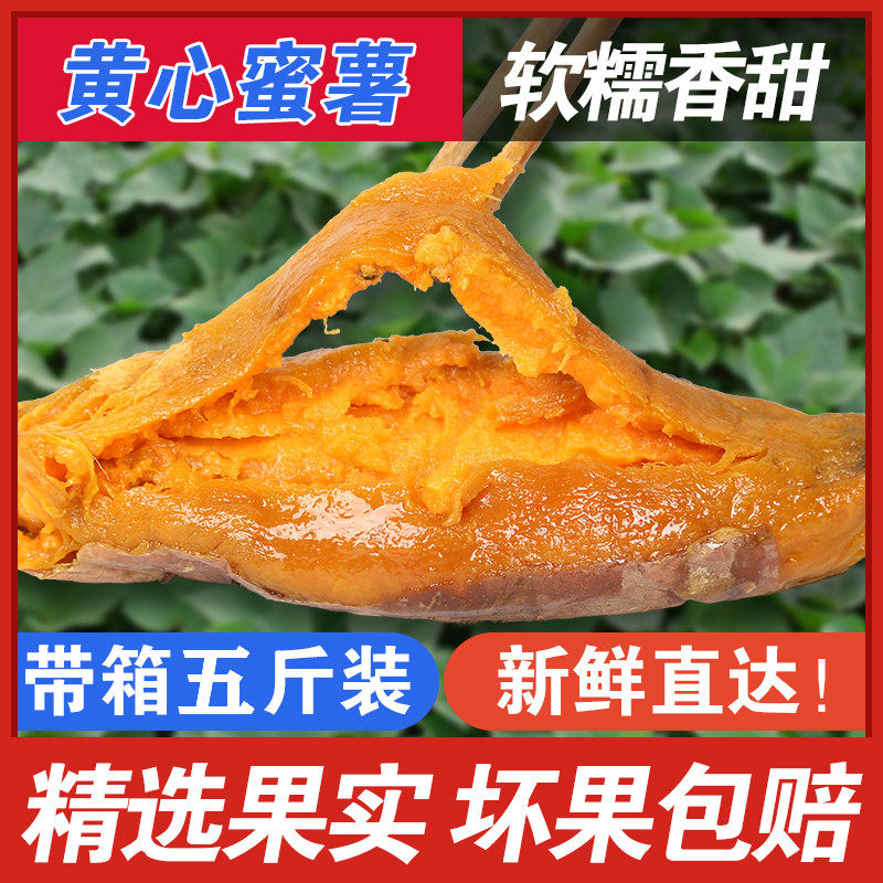 新鲜红薯沙地六鳌蜜薯带箱5斤装地瓜糖心蜜薯农家烤山芋板栗番薯