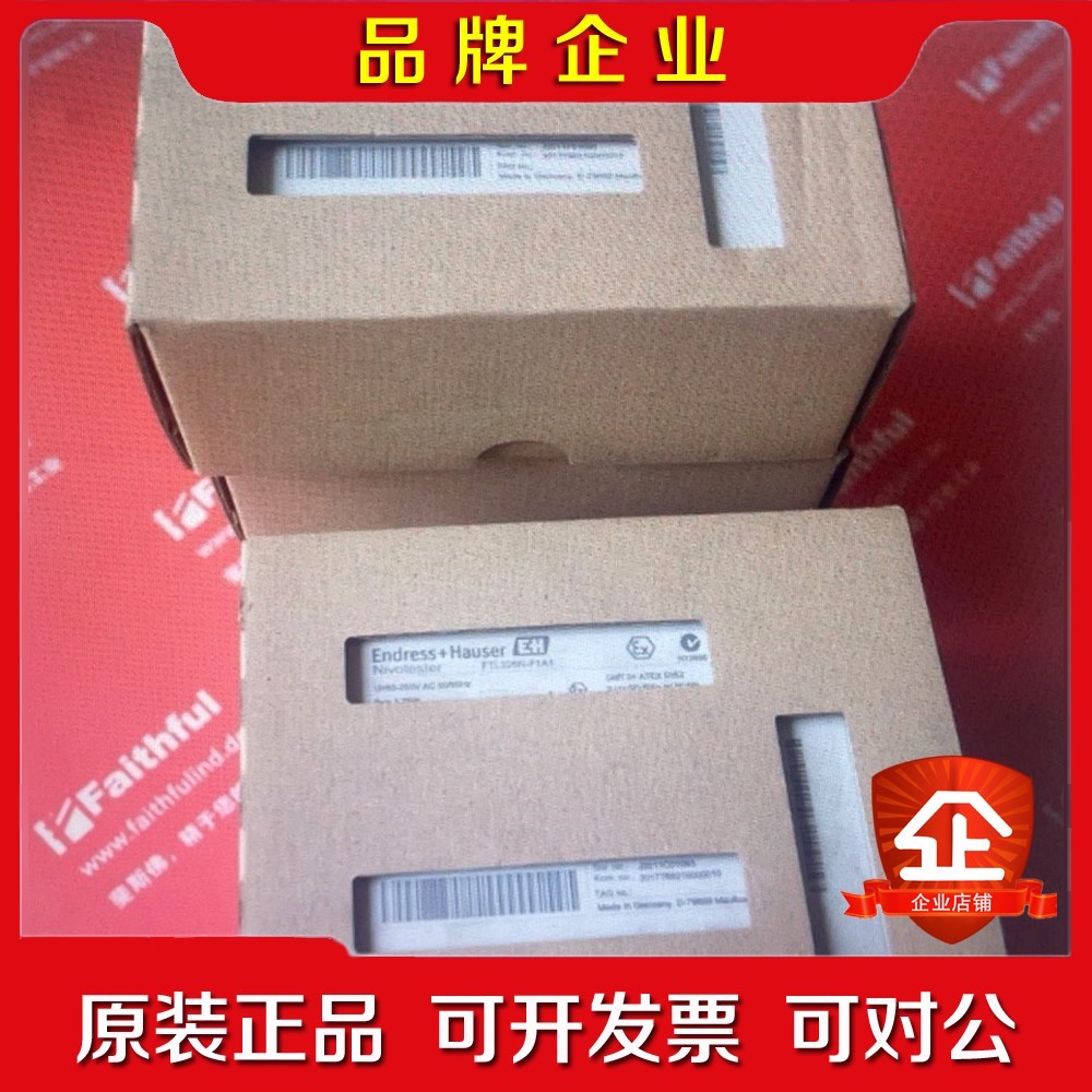 E+H FTL325N-F1A1 恩德斯豪斯振动式限位信号变 议价