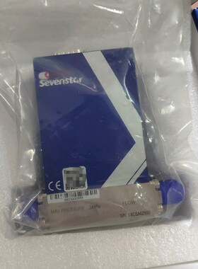 七星流量计CS200A N2 50Lmin 年份2023年 议价