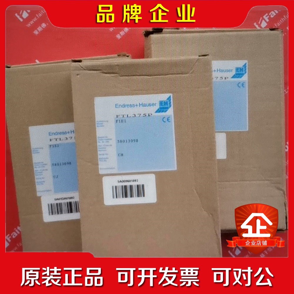 E+H FTL375P-F1E1 恩德斯豪斯液位检测 n 议价
