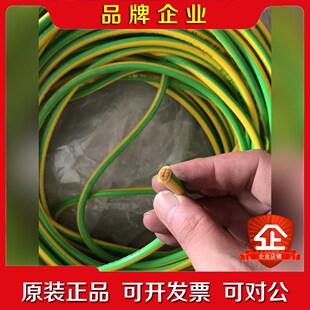 4560 LIFY1X10 议价 黄绿纯铜柔性单芯线 LAPP缆普