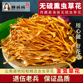 青藏虫草花500g干货正品 特野山生级金虫草菇煲汤材料一斤北虫草