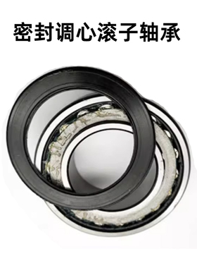 密封调心滚子轴承BS2-2205 2206 2207 2208-2CS 密封调心滚子轴承