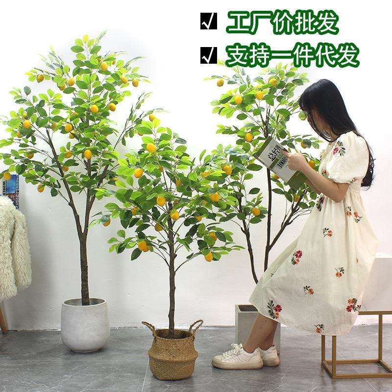 仿真柠檬树北欧风柠檬树仿真盆栽落地摆件直销仿真植物柠檬树
