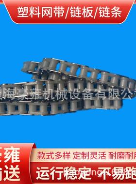 塑料链条短节距滚子输送链条节距15.875白色滚子链06cpc50直销