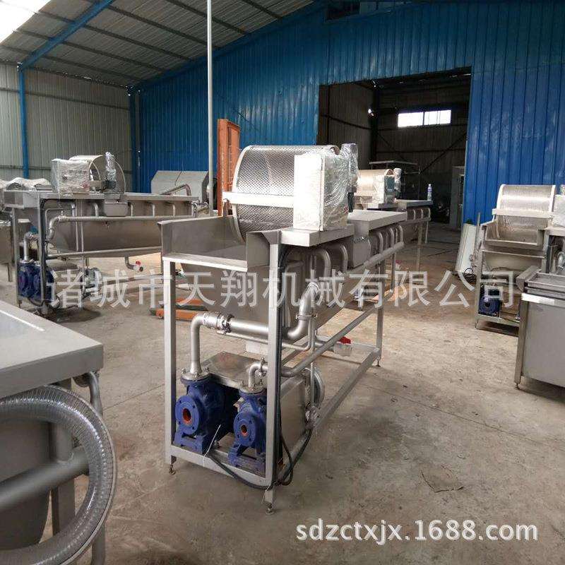 涡流式洗菜机全自动气泡洗菜机蔬菜清洗机诸城市天翔机械