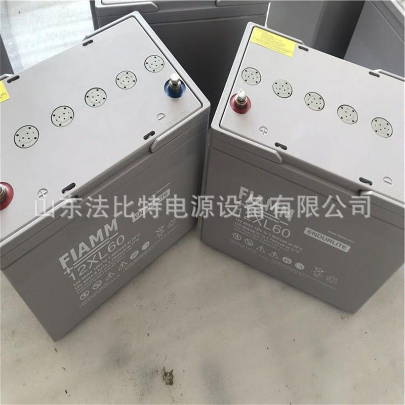 非凡铅酸蓄电池12XL60免维护蓄电池12V60Ah轨道交通12XL60