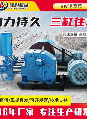 电动柴油卧式BW150泥浆泵250注浆机160抽泥沙泵矿用320离心分渣泵