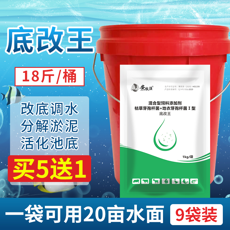 水产养殖底改王净水芽孢杆菌鱼虾池塘生物改底解毒水质净化专用