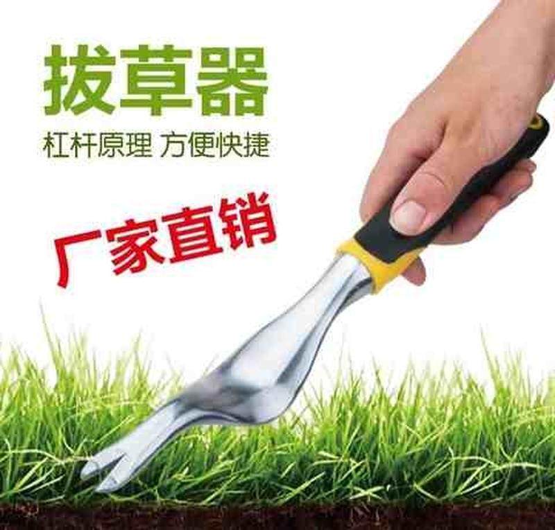 尖嘴小号菜地种菜神器园林挖铁锹园艺养花工具套装绿化家用三爪根