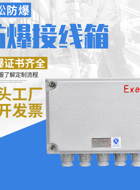 BJX防爆接线箱配电箱空箱壳体增安型隔爆型仪表动力箱控制分线盒