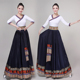 藏族舞蹈裙上衣民族舞蹈服装 成人演出服练功半身长裙广场舞大摆裙