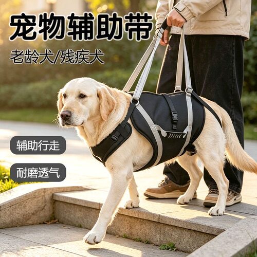 狗狗防水辅助带犬锻炼康复出行胸背带可调节外出牵引绳代发XJ
