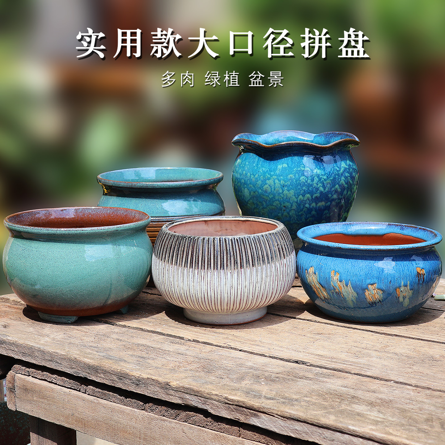 大口径多肉植物手工粗陶大号拼盘