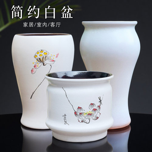 大口家用客厅陶瓷简约兰花龟背竹