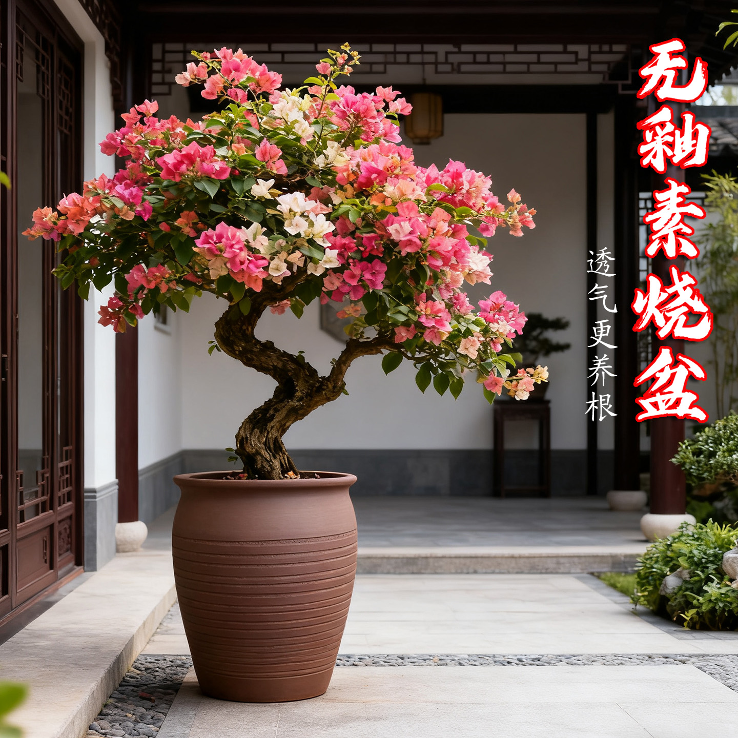 宜兴黑泥透气粗陶花盆兰花三角梅绿植特大号室内紫砂简约陶瓷盆景