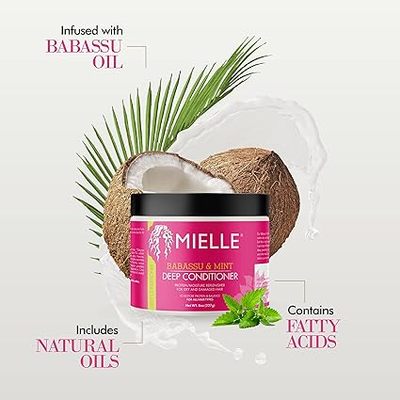Mielle Organics Babassu Mint 深层护发素含蛋白质干燥毛躁头发