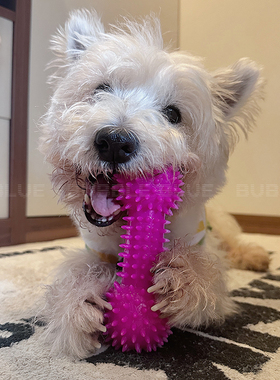 INS款 TPR安全磨牙带刺洁齿双色拼色哑铃发声玩具芭比粉baby蓝